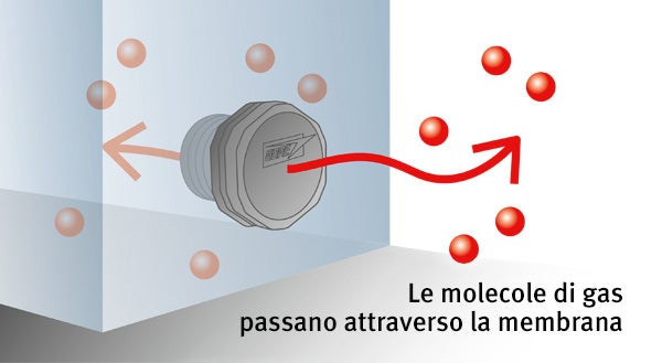 Le molecole di gas passano attraverso la membrana