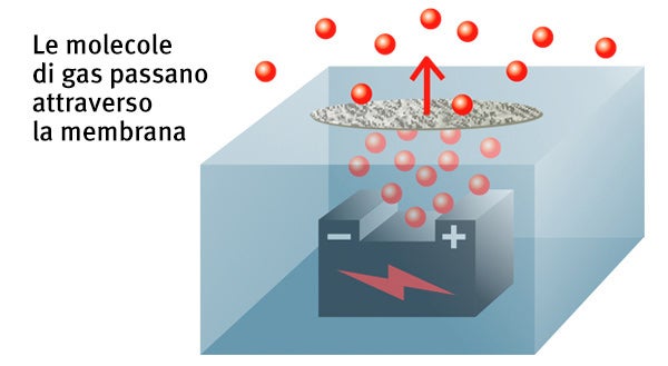 Le molecole di gas passano attraverso la membrana