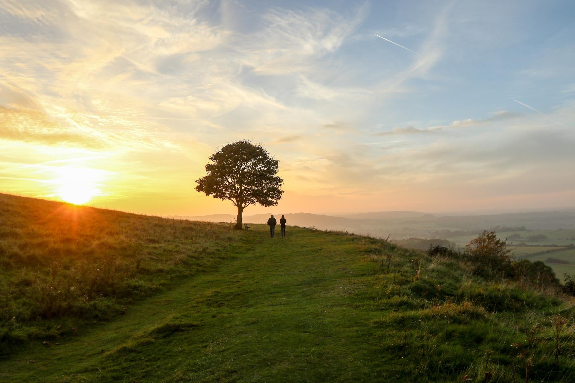 Immagine di due persone nella natura vicino a un albero, intente a guardare il tramonto.