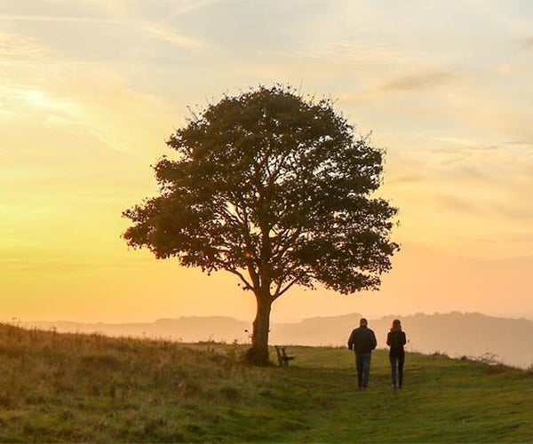 Image of a tree at sunset, with two people walking by.