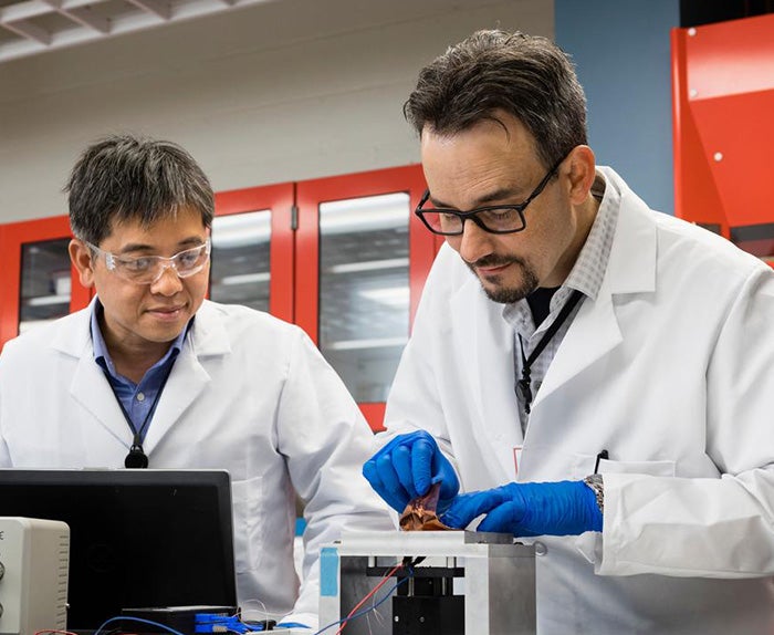 Due Associati al lavoro in un laboratorio.