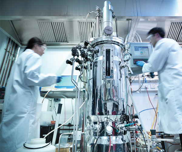 Bioreattore utilizzato nei processi farmaceutici e biofarmaceutici